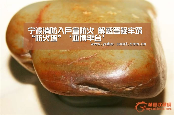 宁波消防入户宣防火 解惑答疑牢筑“防火墙”‘亚博平台’(图3) 亚博体育