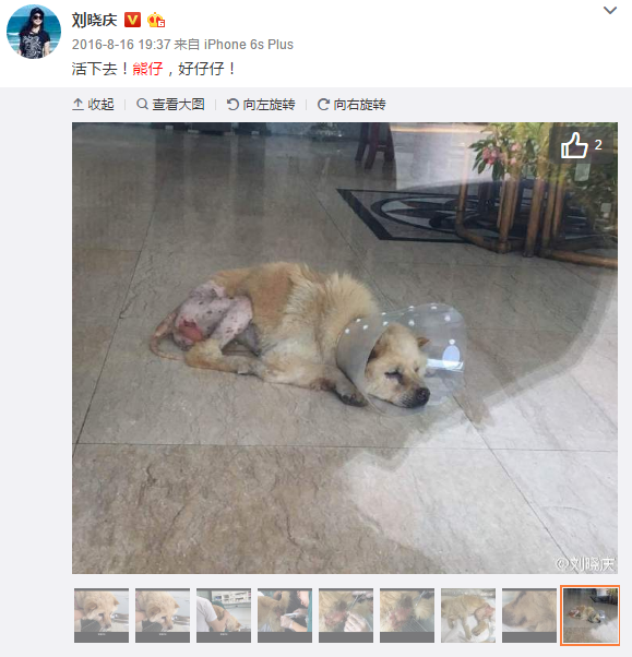 ‘亚博娱乐’未来四个月战争威胁增大!中美摩擦越猛烈,越要防范印度偷袭(图3) 亚博平台